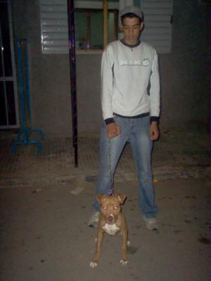 c moi et mon chien